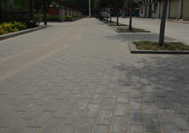 ��ˮש���� 